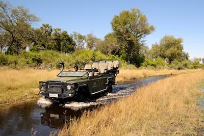 Botswana game drive, Kwetsani Camp, Okavango